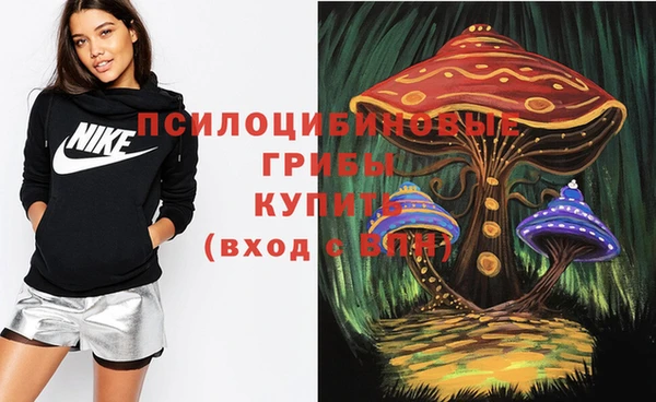 дурь Алексин
