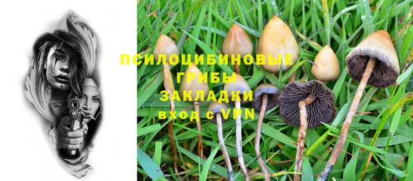 дурь Алексеевка