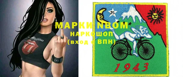 дурь Алексин