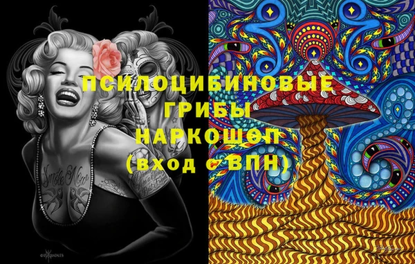 дурь Алексин